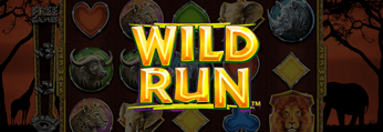 Wild Run