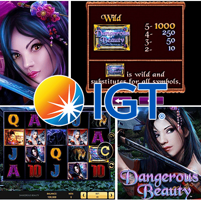 igt software